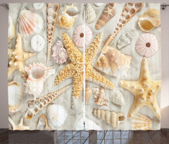 Assorted Seashells Sand Beach Curtain