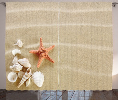 Exotic Seashells with Sand Curtain