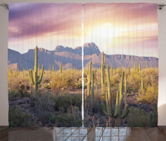 Saguaro Cactus and Mountain Curtain