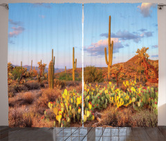 Cacti in Sonoran Desert Curtain