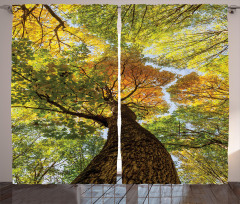 Autumn Tree of Nature Photo Curtain