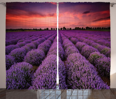 Lavender Field Sunset Curtain