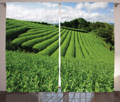 Sunny Landscape Tea Fields Curtain