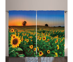Flower Field at Sunset Curtain