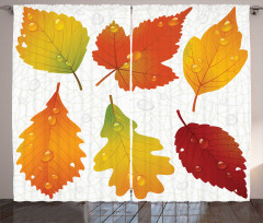 Realistic Dried Leaves Falling Curtain