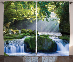 Green Forest and Streaming Curtain