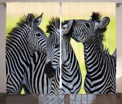 Zebras Wild Nature Curtain