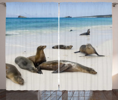 Galapagos Island Sea Lions Curtain