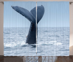 Whale Tail Puerto Lopez Curtain