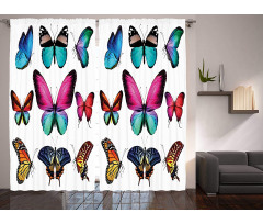 Vibrant Butterflies Set Curtain