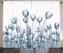 Crocus Flower Field in Xray Curtain