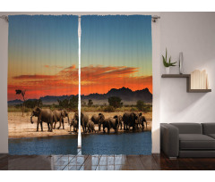 Safari Wildlife Curtain