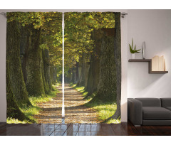 Alley with Oak Trees Curtain