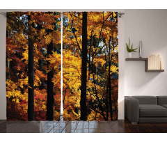 Fall Tranquil Countryside Curtain