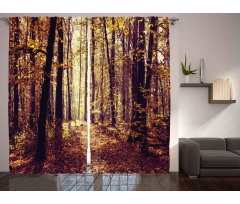 Misty Weather Forest Curtain