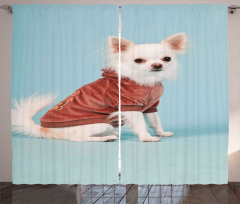 Puppy with Clothes Curtain