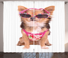 Puppy with Summer Clothes Curtain