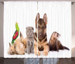 Bunnies Cat Dog and Ferret Curtain