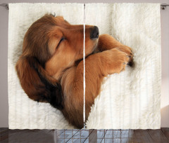 Puppy Sleeping in Its Bed Curtain
