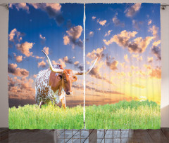 Female Cow in Pasture Sky Curtain