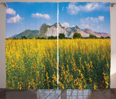 Sunhemp Flowers in a Meadow Curtain