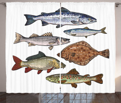 Drawn Various Species of Fish Curtain