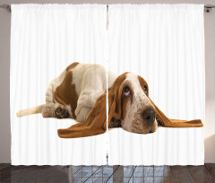 Long Eared Dog Curtain