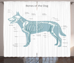 Bones of the Dog Table Curtain