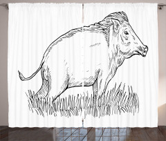 Outline Sketch Wild Boar Curtain