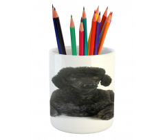 Fluffy Purebred Animal Love Pencil Pen Holder