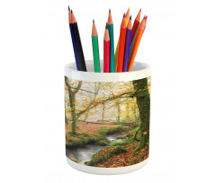 Misty Woods Cornwall Pencil Pen Holder