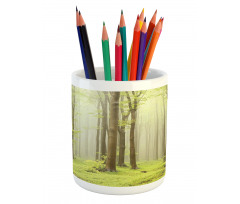 Misty Beech Forest Photo Pencil Pen Holder