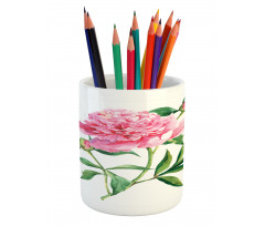 Vintage Peony Pencil Pen Holder