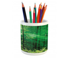 Forest Trees Morning Pencil Pen Holder
