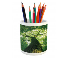 Leaves Tree Branches Pencil Pen Holder