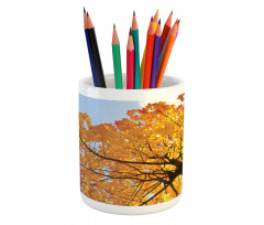 Maple Leaves Fall Autumn Pencil Pen Holder