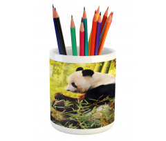 Panda Sitting in Forest Pencil Pen Holder