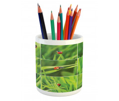 Ladybug over Fresh Grass Pencil Pen Holder