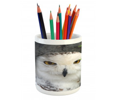 Magician Pet White Owl Pencil Pen Holder