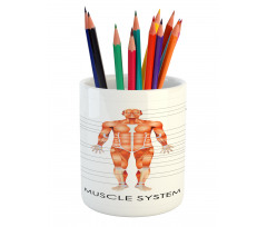 Biology Muscle System Pencil Pen Holder