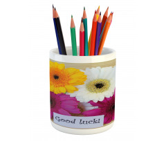 Luck Colorful Pencil Pen Holder