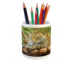 Jaguar on Wood Wild Feline Pencil Pen Holder