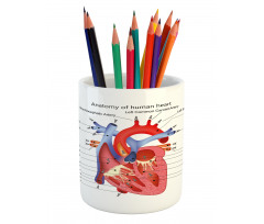 Human Body Organ Pencil Pen Holder