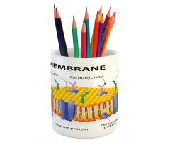 Membrane Cell Types Pencil Pen Holder