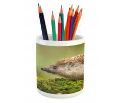 Eastern Europe Scene Pencil Pen Holder