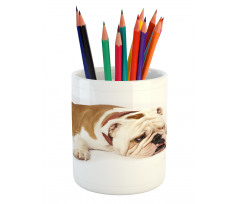 Sad Animal Pencil Pen Holder