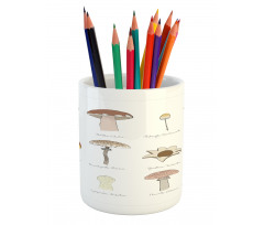 Blusher Boletus Sketch Pencil Pen Holder