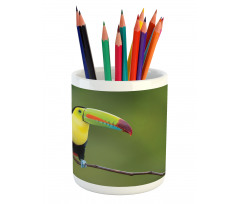 Keel Billed Toucan Pencil Pen Holder