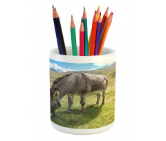 Donkey Eating Grass Mountain Pencil Pen Holder