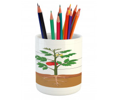 Parts of a Tomato Plant Pencil Pen Holder